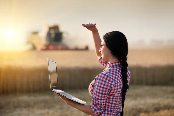 Flicka med laptop och combine harvester — Stockfoto