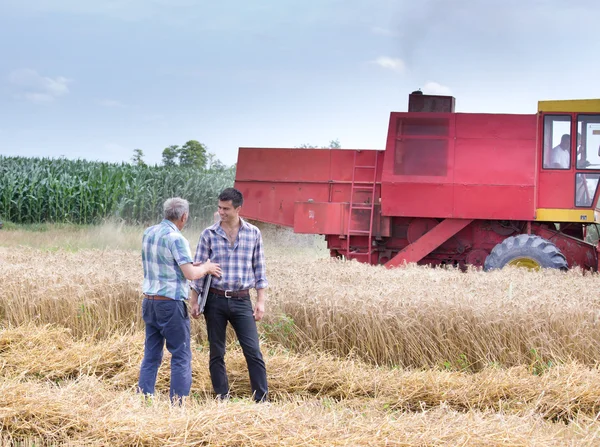 Bauern auf Feld mit Mähdrescher — Stockfoto