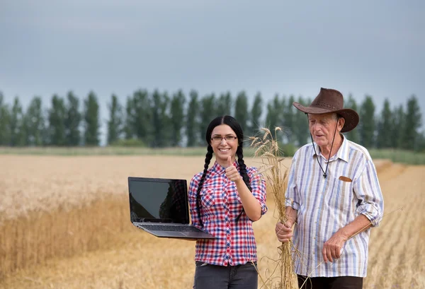 Mensen bij de oogst — Stockfoto