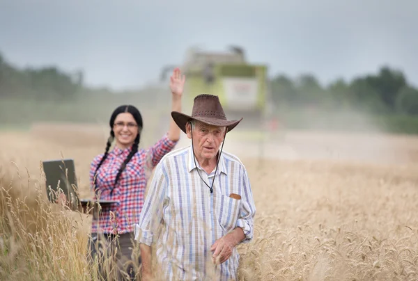 수확에서 사람들 — 스톡 사진