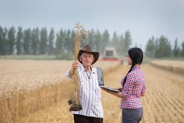 Menschen bei der Ernte — Stockfoto