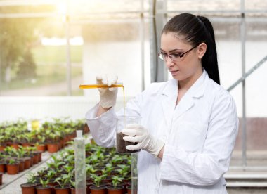 Biologist with test tube in greenhouse clipart