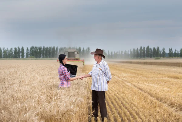 Мужчина и женщина пожимают руку во время сбора урожая — стоковое фото