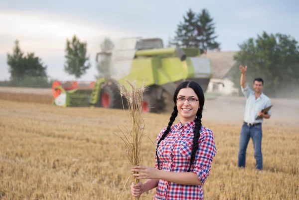 Människor vid skörd — Stockfoto