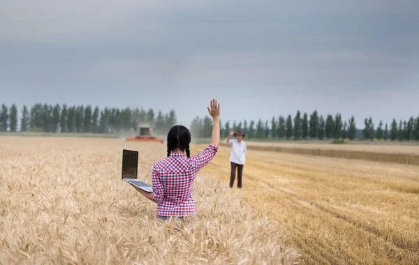 Mensen bij de oogst — Stockfoto