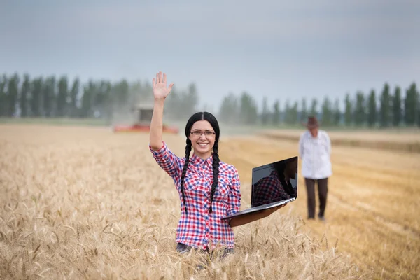 Människor vid skörd — Stockfoto