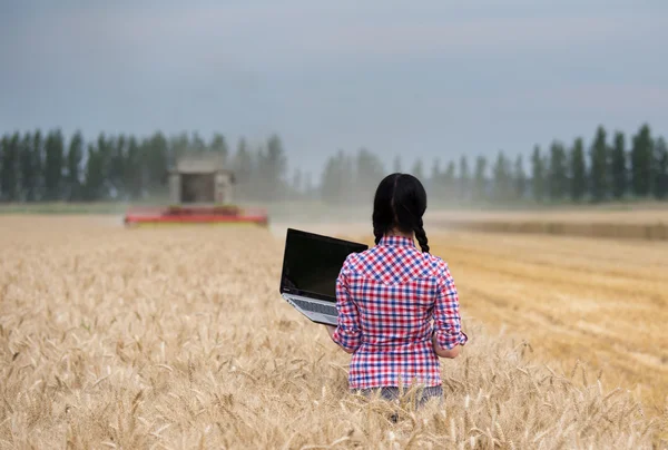 Vrouw met laptop in veld tijdens de oogst — Stockfoto