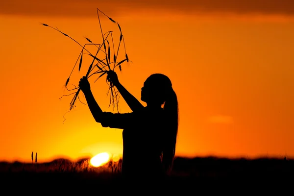 Silhouet van meisje in een tarweveld — Stockfoto