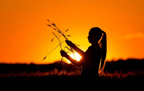 Silueta de niña en el campo de trigo — Foto de Stock