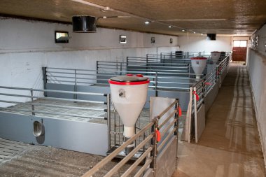 Beton zeminli, çelik çitli ve beslenme cihazlı boş modern domuz ağılı.