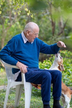 Kıdemli adam parkta oturuyor, sevimli köpeğine sarılıyor ve oynuyor.