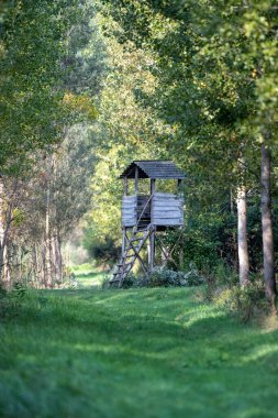Yazın ormandaki ahşap gözetleme kulesinin manzarası