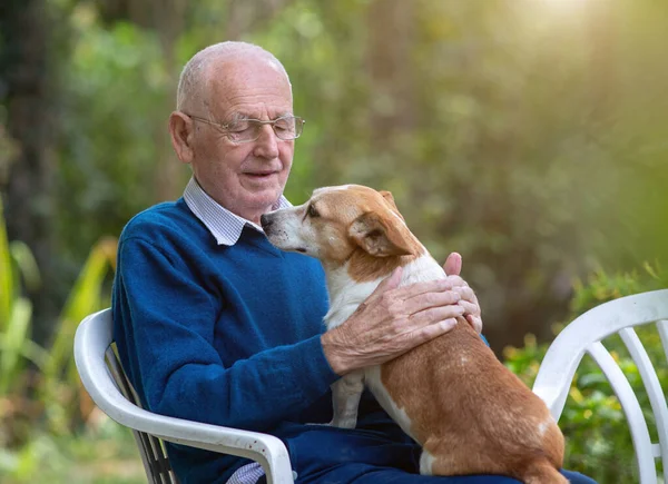 Ritratto Uomo Anziano Seduto Giardino Coccolando Cane Carino Grembo — Foto Stock