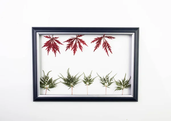 Kleurrijke Herfstbladeren Beeld Frame Witte Achtergrond — Stockfoto