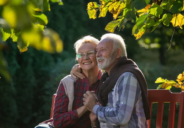 Happy Senior Couple Hugging Bench Garden Sunny Day Autumn — Stock Photo, Image