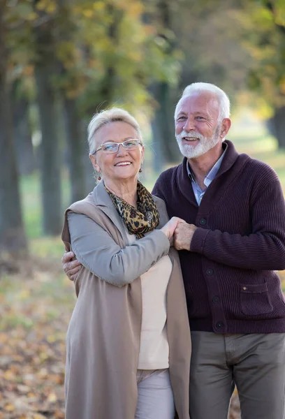 Couple Personnes Âgées Dans Câlin Tenant Main Dans Forêt Automne — Photo