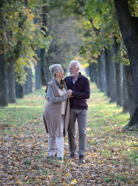 老夫妇拥抱在一起 在秋天的时候手牵手在森林里 — 图库照片