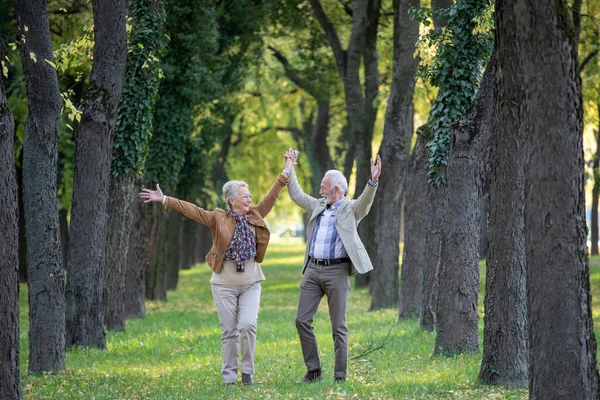 Senior Couple Celebrating Life Love Happiness Raising Arms Laughing Park — Stock Photo, Image