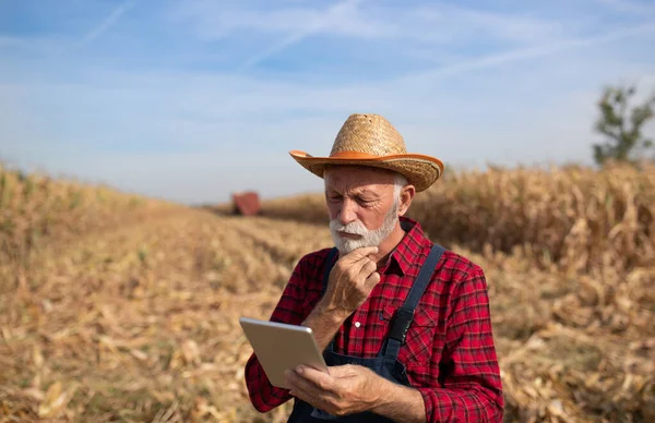 Senior Contadino Guardando Tablet Nel Campo Mais Con Mietitrice Background — Foto Stock