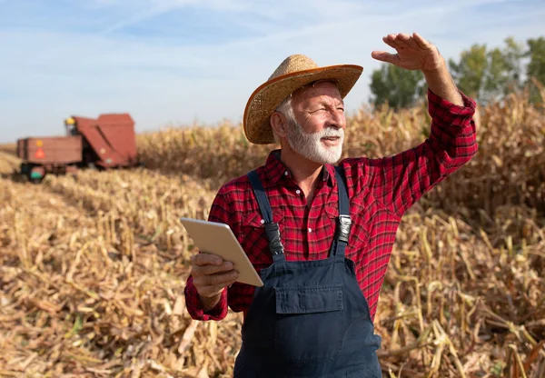 トウモロコシ畑にタブレットを保持しながら 背景で作業する収穫者を組み合わせるシニア農家 — ストック写真