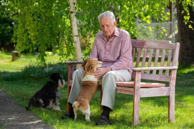 Yazın parkta bankta birbirine sarılan iki köpeği olan son sınıf öğrencisi.