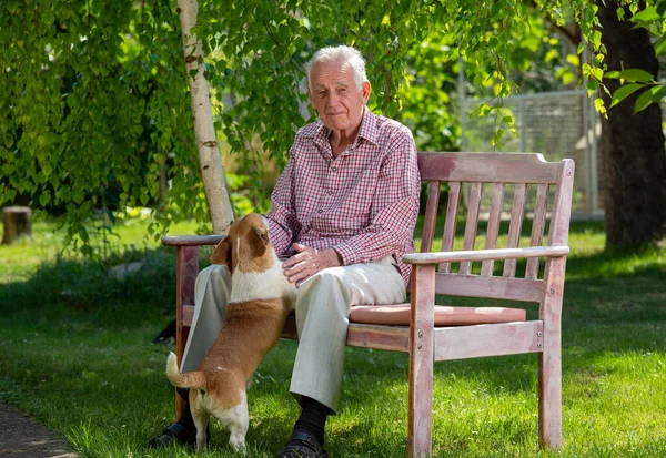 Homme Âgé Avec Chien Câlin Sur Banc Dans Parc Été — Photo