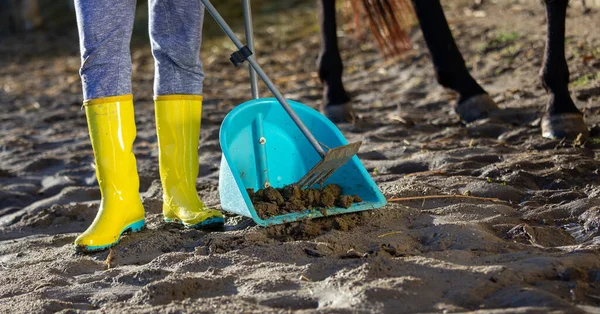 Chica Recogiendo Excremento Caballo Pala Stableyard — Foto de Stock