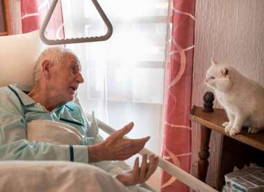 Tıbbi yatakta yaşlı bir adam rafta oturan sevimli beyaz kedisiyle konuşuyor.