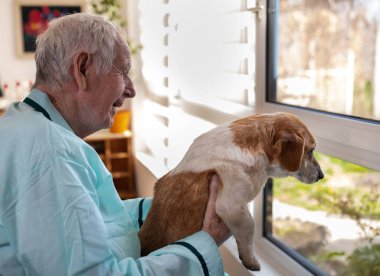 Pijamalı yaşlı adam pencerenin yanındaki sandalyede oturuyor ve köpeğini kucağında okşuyor.