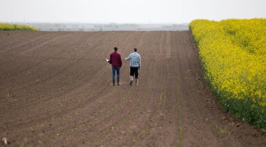 Dizüstü bilgisayarı olan iki çiftçinin sarı kolza tohumu yanında genç mısırların üzerinde yürüdüğünü gördüm. 