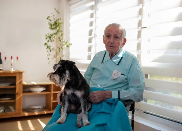 Pijamalı Yaşlı Adam Pencerenin Yanındaki Sandalyede Oturuyor Köpeğini Kucağında Okşuyor — Stok fotoğraf