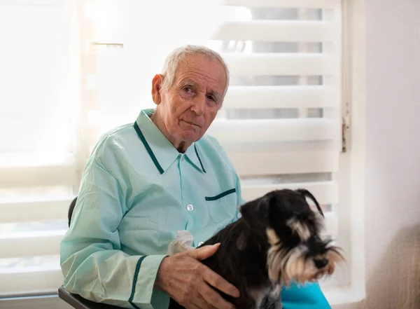 シニア男でパジャマで椅子に座って窓の横にあると彼の犬をペットで膝 — ストック写真