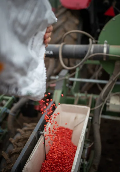 Farmer Filling Seeder Box Corn Seeds Sack Preparing Tractor Sowing — Stock Photo, Image