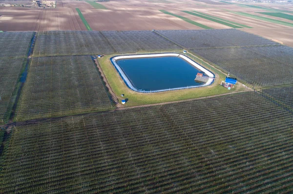 Imagen Aérea Del Huerto Manzanas Moderno Dispuesto Alrededor Del Lago — Foto de Stock