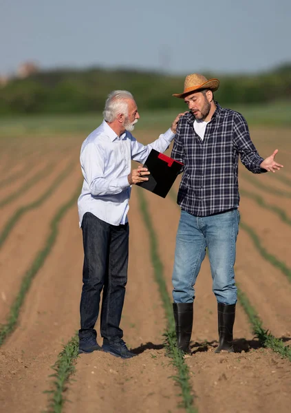 Due Uomini Che Parlano Nel Campo Grano Persuadendo Uomo Affari — Foto Stock