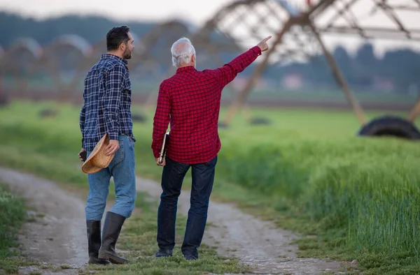 两名男子走在田边 看着中心枢纽灌溉系统 调查土地现代农业的农民 — 图库照片