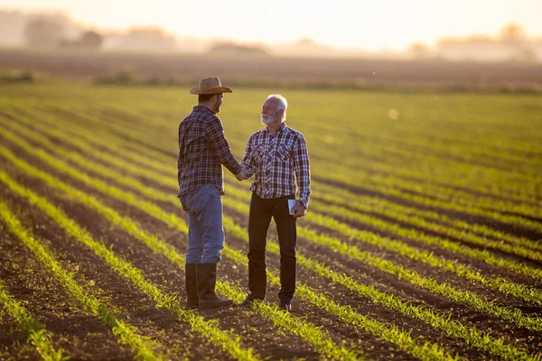 Zemědělci Kteří Dosáhli Dohody Stojí Kukuřičném Poli Dva Muži Šťastně — Stock fotografie