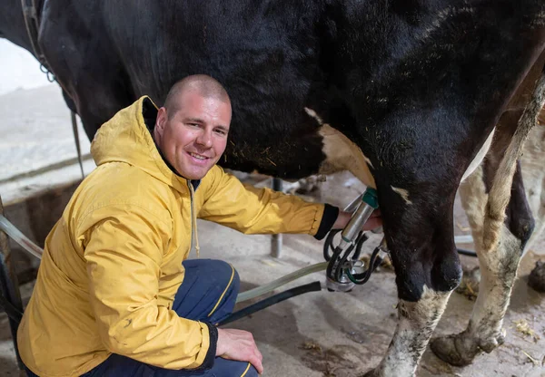 Joven Agricultor Utilizando Máquina Ordeño Automático Hombre Agachado Junto Vaca —  Fotos de Stock