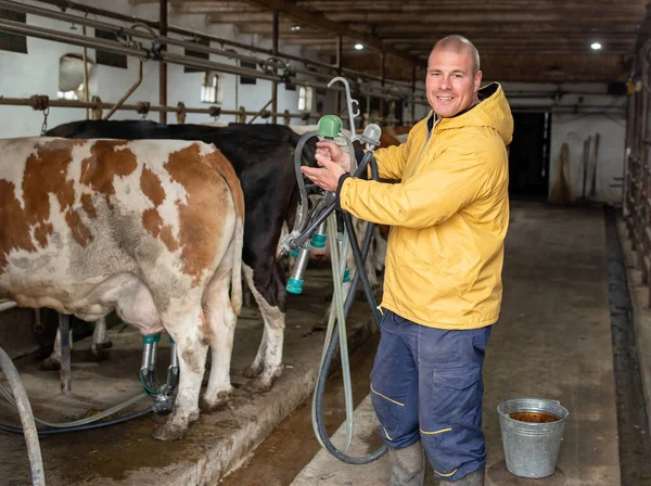 Jonge Man Melkveehouder Toont Presentatie Melkmachine Boer Glimlachend Bij Simmental — Stockfoto