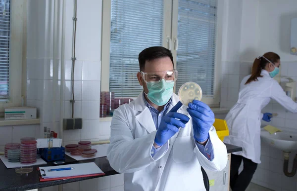 Jovem Pesquisador Médico Laboratório Experimentando Usando Amostra Placa Petri Cientistas — Fotografia de Stock