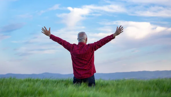 Vedere Din Spate Fermierului Senior Picioare Câmp Orz Mâna Ridicată — Fotografie, imagine de stoc