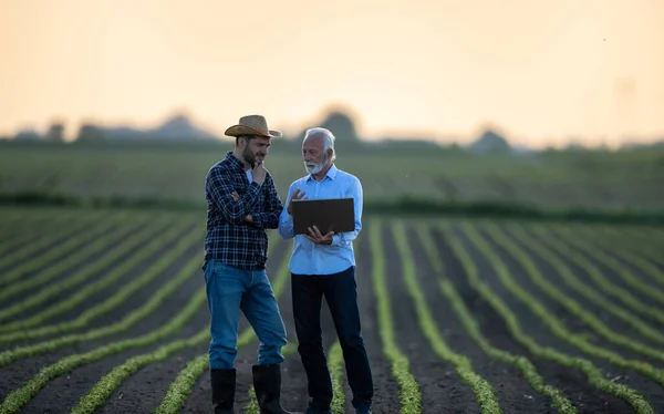 Due Uomini Che Usano Moderna Tecnologia Informatica Agricoltura Agricoltore Uomo — Foto Stock