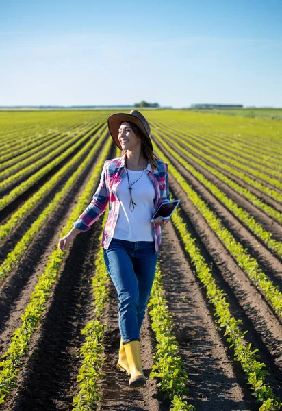 Ung Kvinna Som Tittar Land Och Ler Solsken Kvinnlig Agronomen — Stockfoto