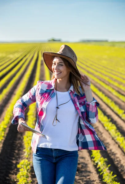 Ung Kvinnlig Agronom Som Står Sojafält Och Ler Jordbrukare Som — Stockfoto