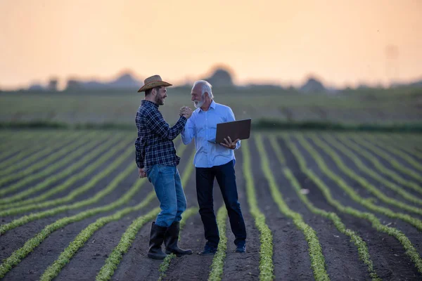 Agricultor Empresário Campo Soja Segurando Laptop Dois Homens Acordo Lidar — Fotografia de Stock
