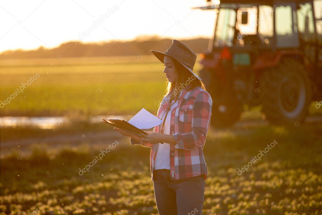Woman agronomist standing in cultivated field with tractor in background. Young farmer checking clipboard at sunset in spring. 