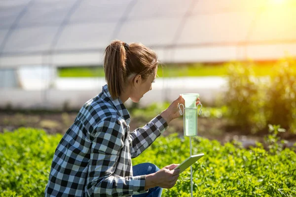 Ingeniera Que Trabaja Protección Cultivos Campo Frente Invernadero Jóvenes Agricultores — Foto de Stock