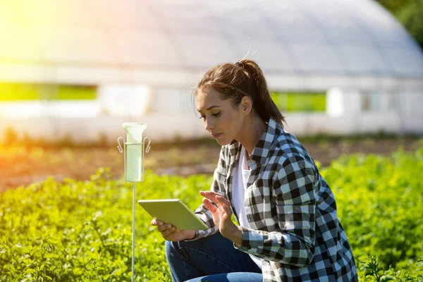 Kadın Çiftçi Tarlada Tarımda Modern Teknoloji Kullanarak Çömeliyor Yağmur Ölçer — Stok fotoğraf
