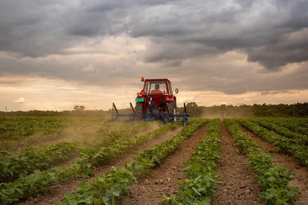 Tractor Con Equipo Que Trabaja Campo Soja Primavera Cielo Dramático —  Fotos de Stock