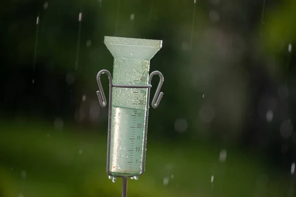 夏季花园暴雨时塑料雨量计的关闭 — 图库照片